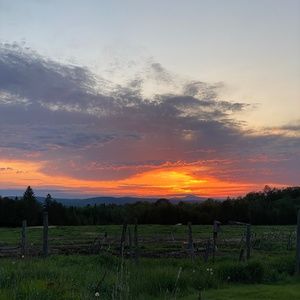 Meet your Posher, Clara